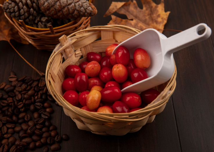 Coffee Berry
